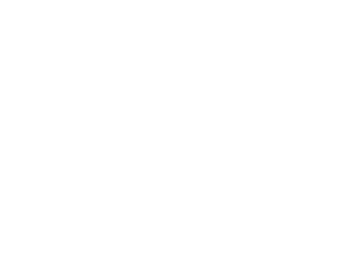 Sky Capital Group